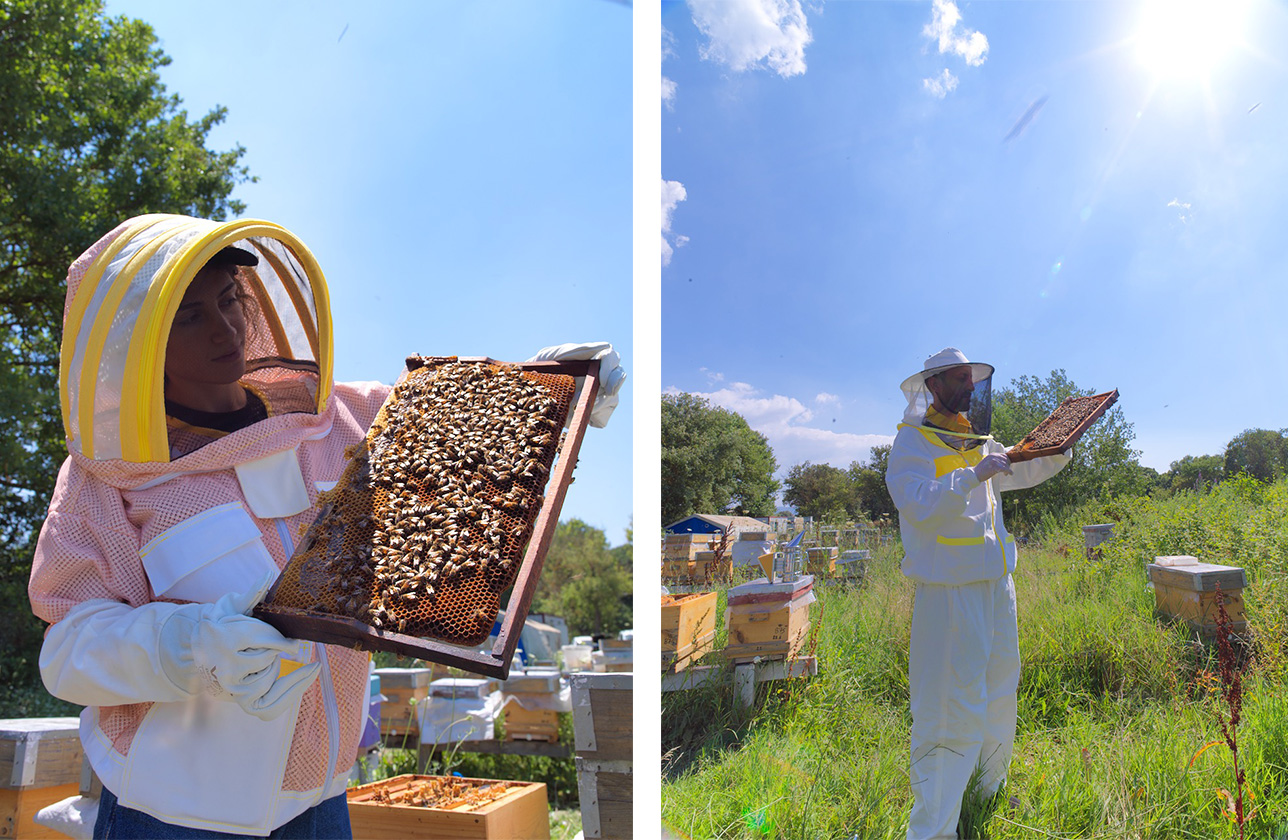 Young Beekeepers Academy