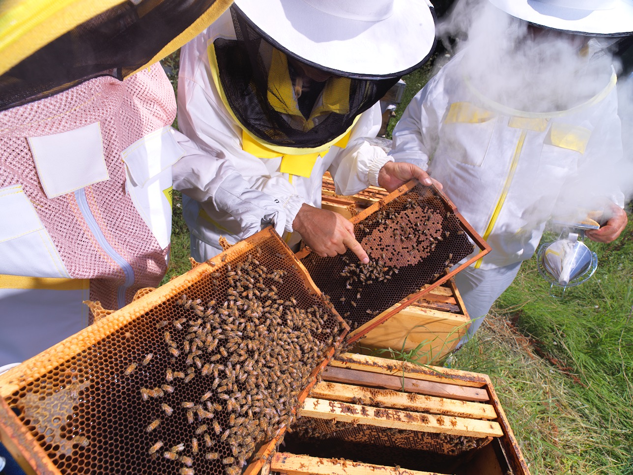 Young Beekeepers Academy